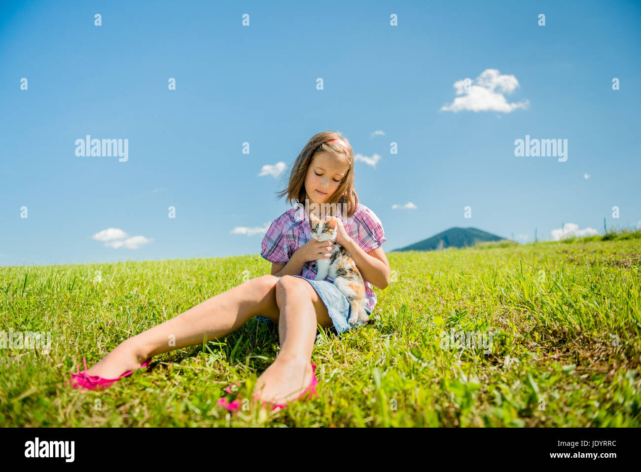 Girl sitting in grass and playing with her cute kitten Stock Photo - Alamy