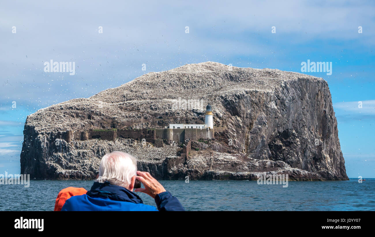 Bass Rock and Stevenson lighthouse, Firth of Forth, Scotland, UK, largest colony of Northern gannets, Morus bassanus, with older man taking a photo Stock Photo