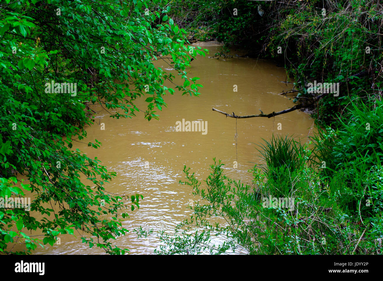 A view of the brown muddy river water flowing into the in Western