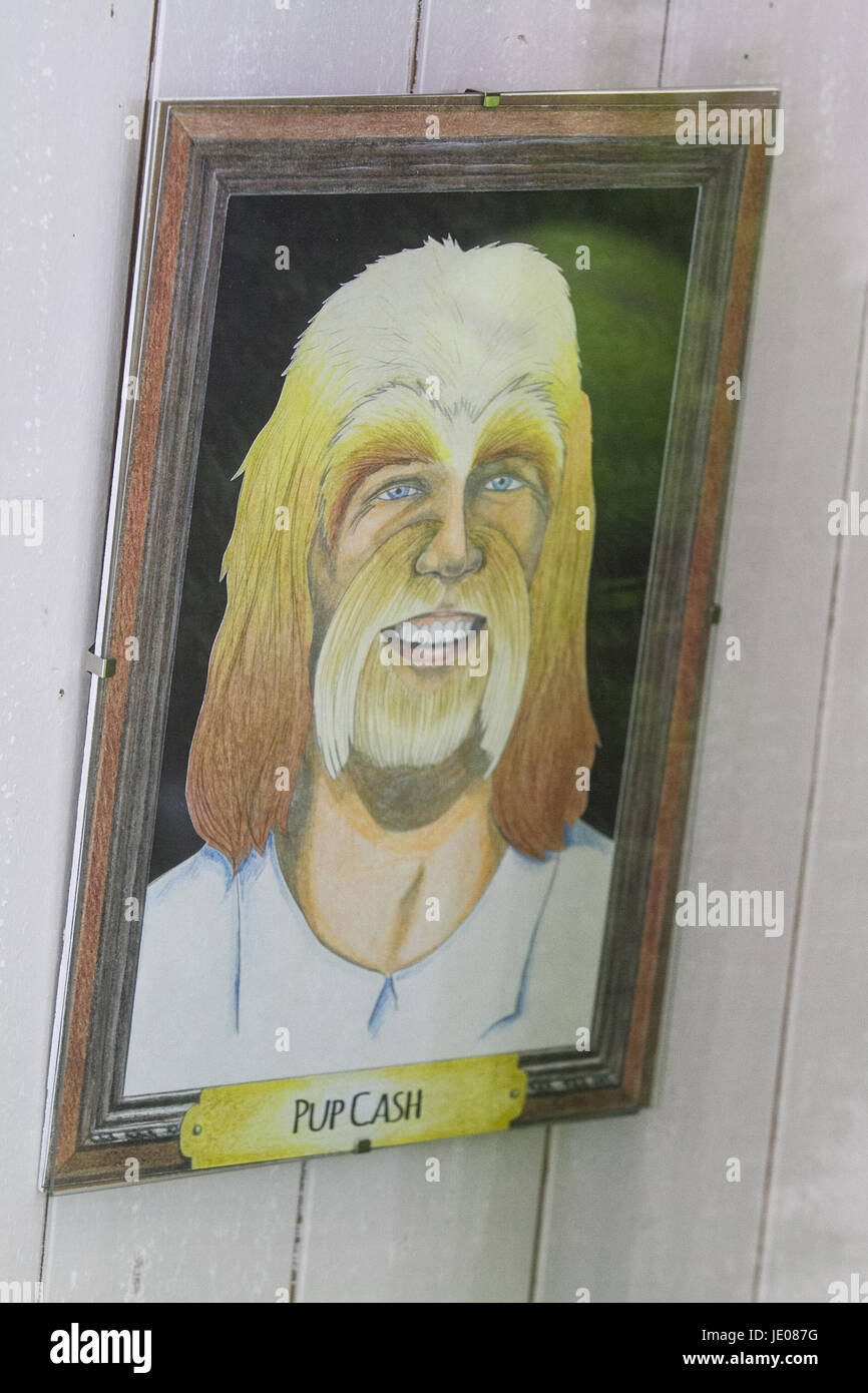 Wimbledon London,UK. 22nd June 2017. Pat Cash. A pet shop in Wimbledon displays caricature drawings of tennis players as cats and dogs with pet names Credit: amer ghazzal/Alamy Live News Stock Photo