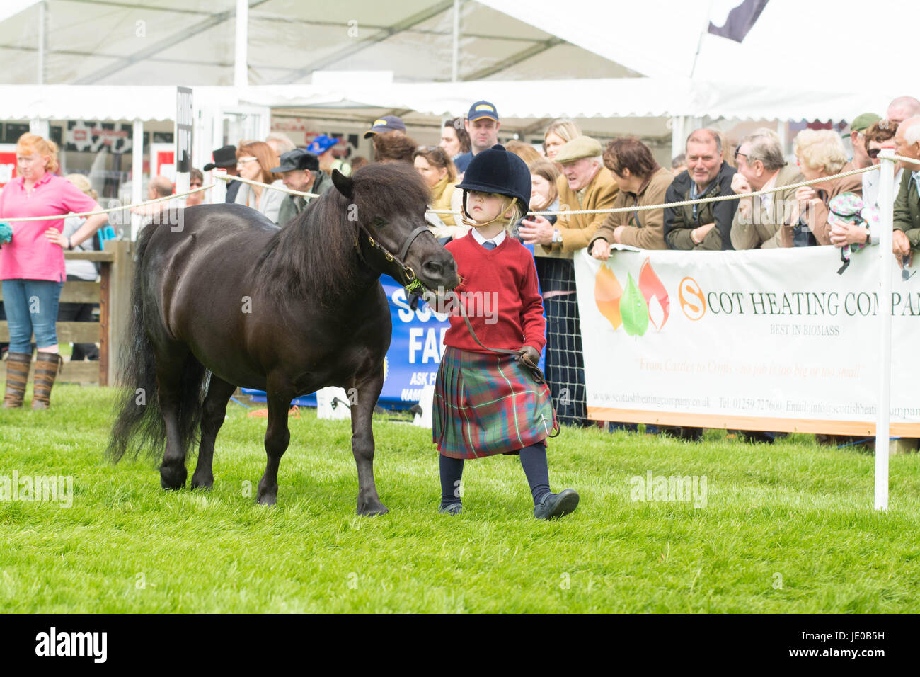 Royal Highland Show 2017, Edinburgh, Scotland, UK Stock Photo