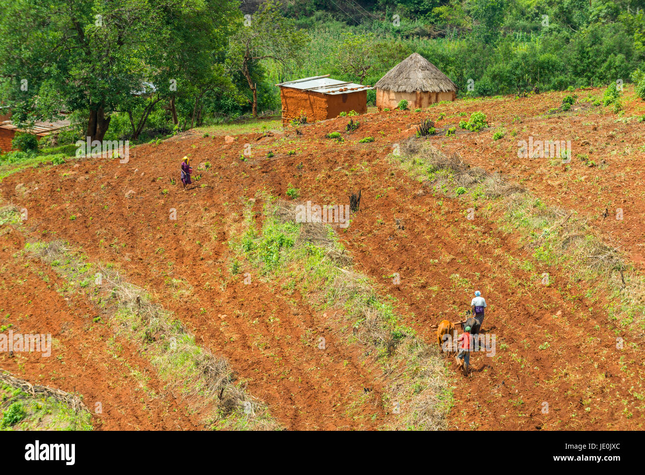 A rural scene near Zimbabwe's Chimanimani Stock Photo Alamy