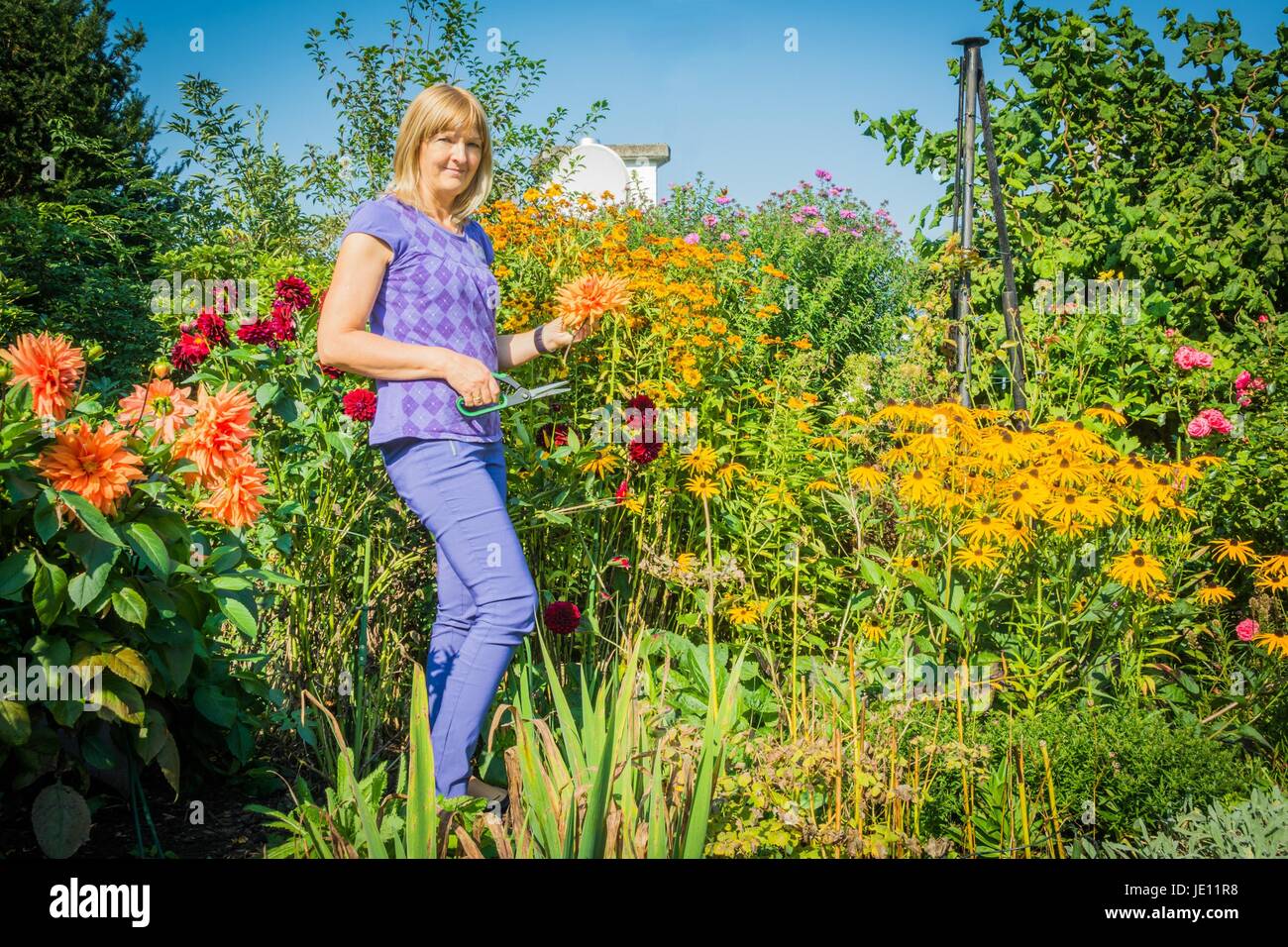 woman in garden with flowers Stock Photo - Alamy
