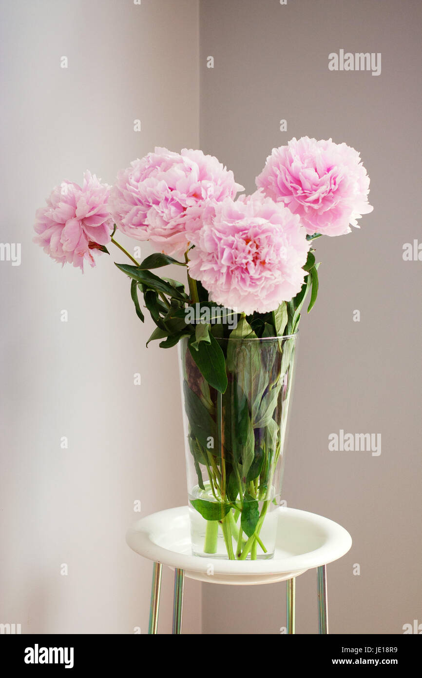 bunch of pink peonies in a clear glass vase Stock Photo - Alamy