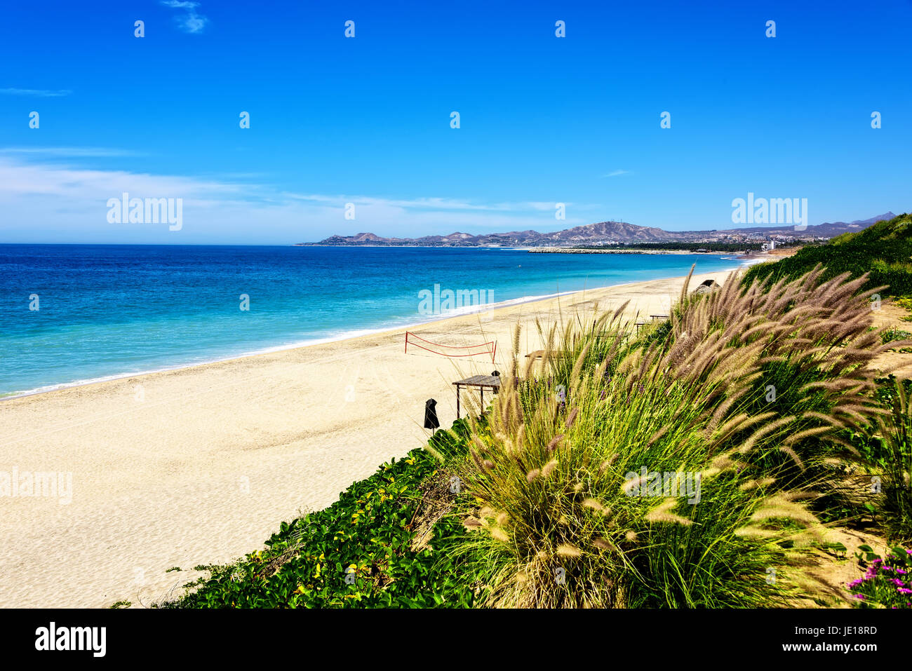 Stretch of Los Cabos Beach  in Los Cabos, Mexico Stock Photo