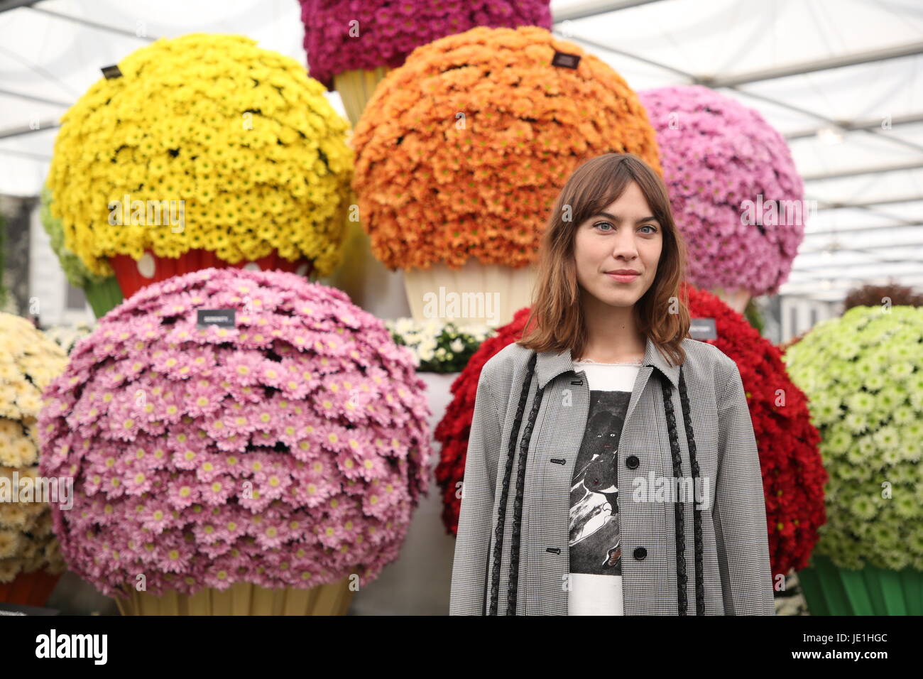 RHS Chelsea Flower Show 2017 - Press Day Featuring: Alexa Chung Where ...