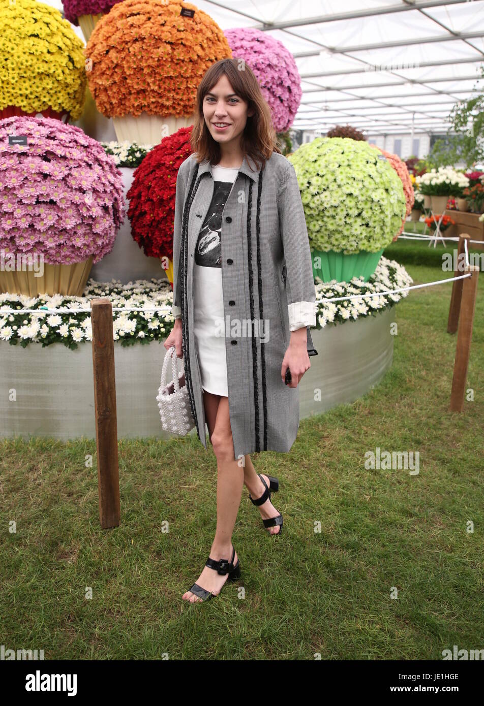 RHS Chelsea Flower Show 2017 - Press Day Featuring: Alexa Chung Where ...