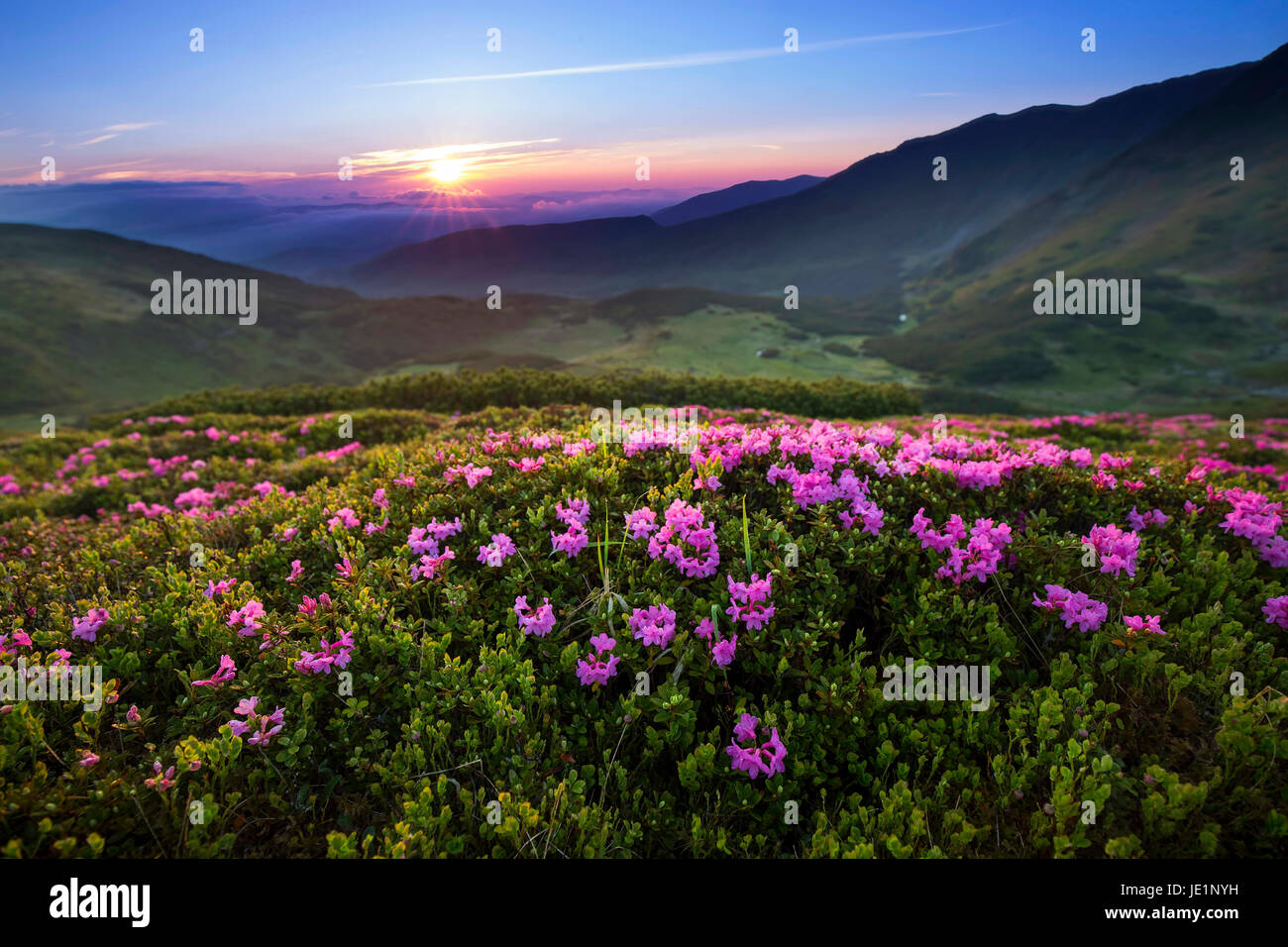 Majestic mountain sunset landscape with purple sky view and ...
