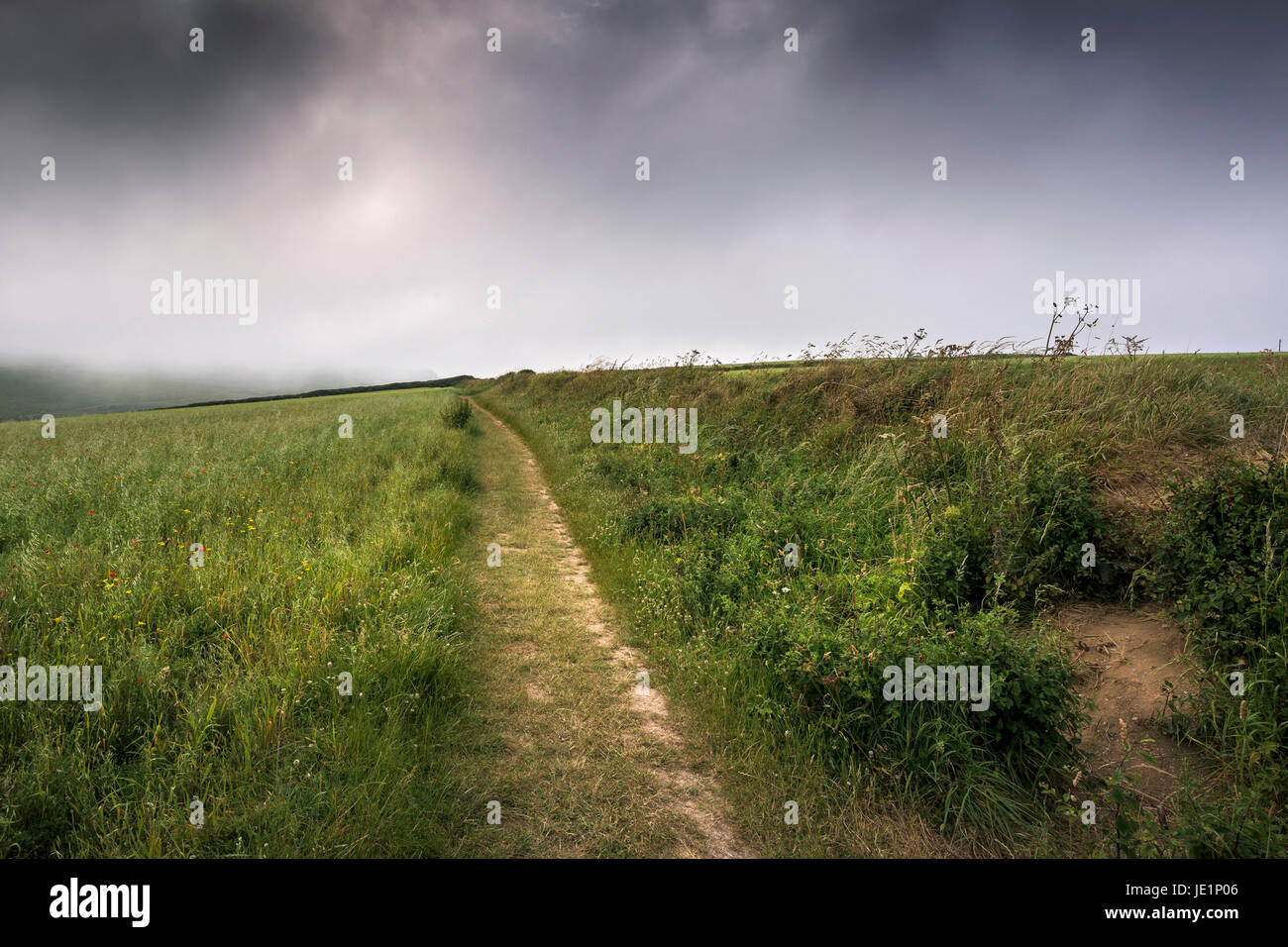 A public footpath on the edge of a field on West Pentire in Newquay, Cornwall. Stock Photo