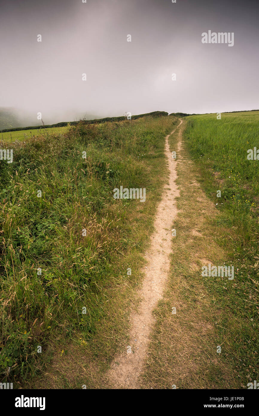 A public footpath on the edge of a field on West Pentire in Newquay, Cornwall. Stock Photo