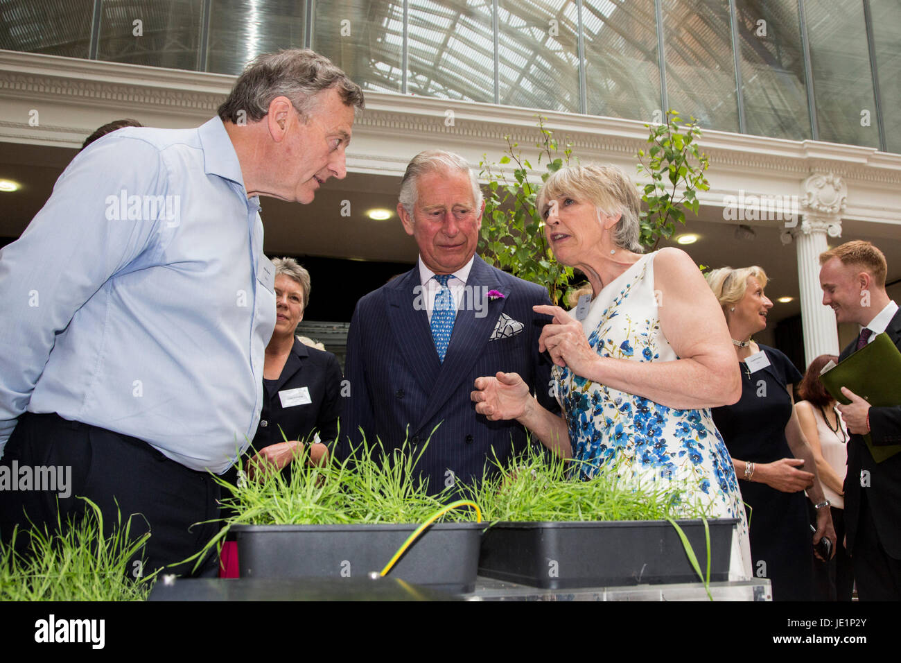 London, UK. 22 June 2017. The Prince of Wales meets members of the assocation at the Innovative Farmers stand and watches demonstrations. Prince Charles, The Prince of Wales, Patron of The Soil Association, attends a reception with supporters of the organic food movement to mark its 70th Anniversary. The Soil Association promotes healthy, humane and sustainable food, farming and land use. Stock Photo