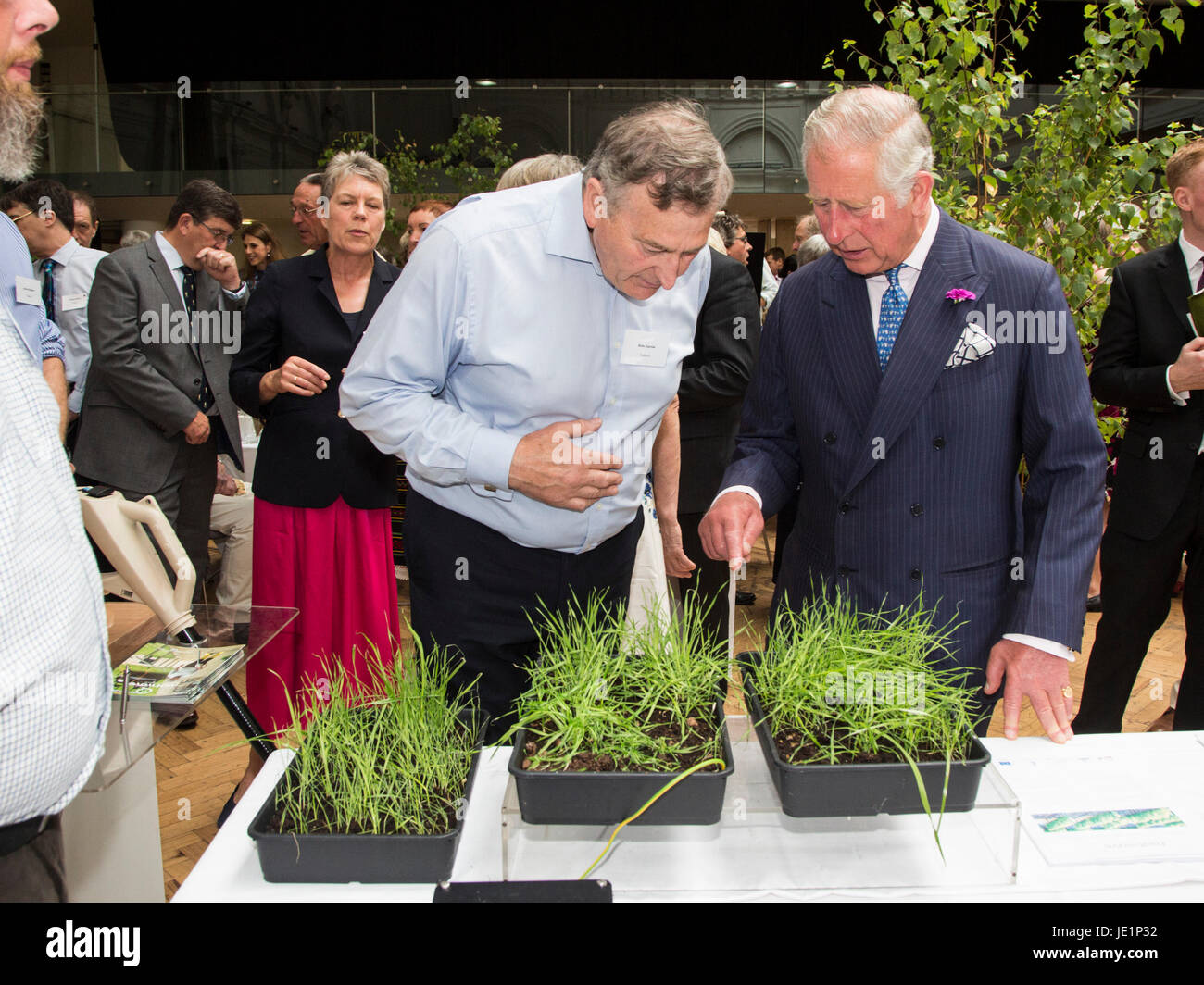 London, UK. 22 June 2017. The Prince of Wales meets members of the assocation at the Innovative Farmers stand and watches demonstrations. Prince Charles, The Prince of Wales, Patron of The Soil Association, attends a reception with supporters of the organic food movement to mark its 70th Anniversary. The Soil Association promotes healthy, humane and sustainable food, farming and land use. Stock Photo