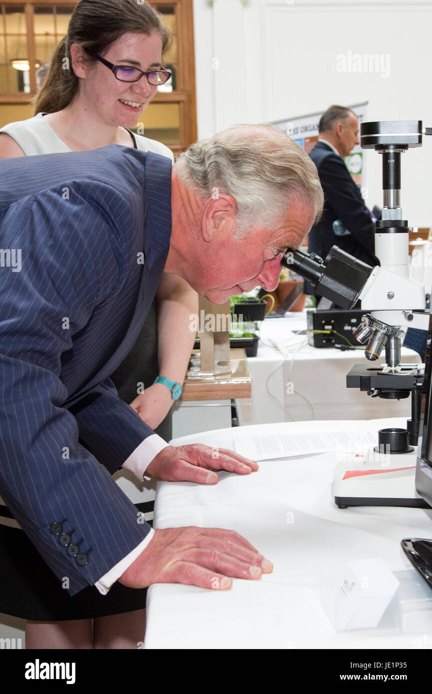 London, UK. 22 June 2017. The Prince of Wales meets members of the assocation at the Innovative Farmers stand and watches demonstrations. Prince Charles, The Prince of Wales, Patron of The Soil Association, attends a reception with supporters of the organic food movement to mark its 70th Anniversary. The Soil Association promotes healthy, humane and sustainable food, farming and land use. Stock Photo