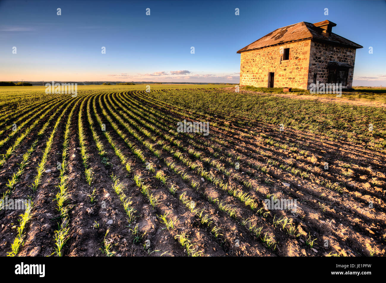 Saskatchewan farm hi-res stock photography and images - Alamy