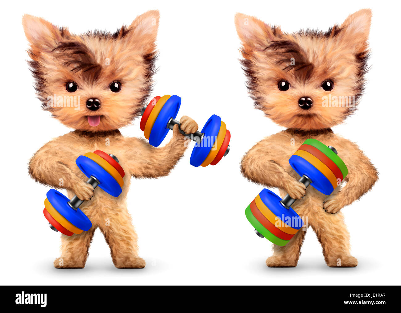 Funny dogs training with dumbbell in sport gym. Concept of sport and fitness. Realistic 3D illustration. Stock Photo
