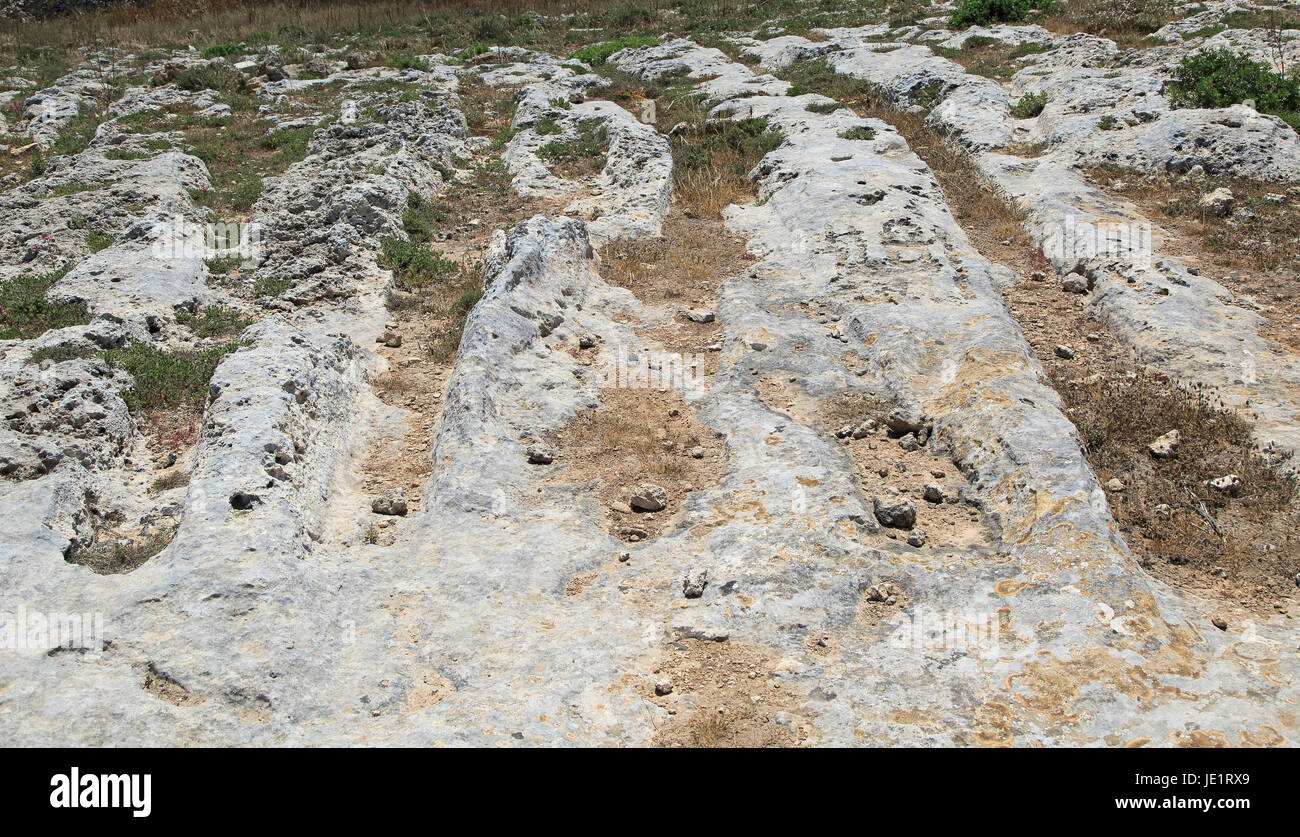 Misrah Ghar il-Kbir, Clapham Junction, prehistoric cart ruts tracks ...