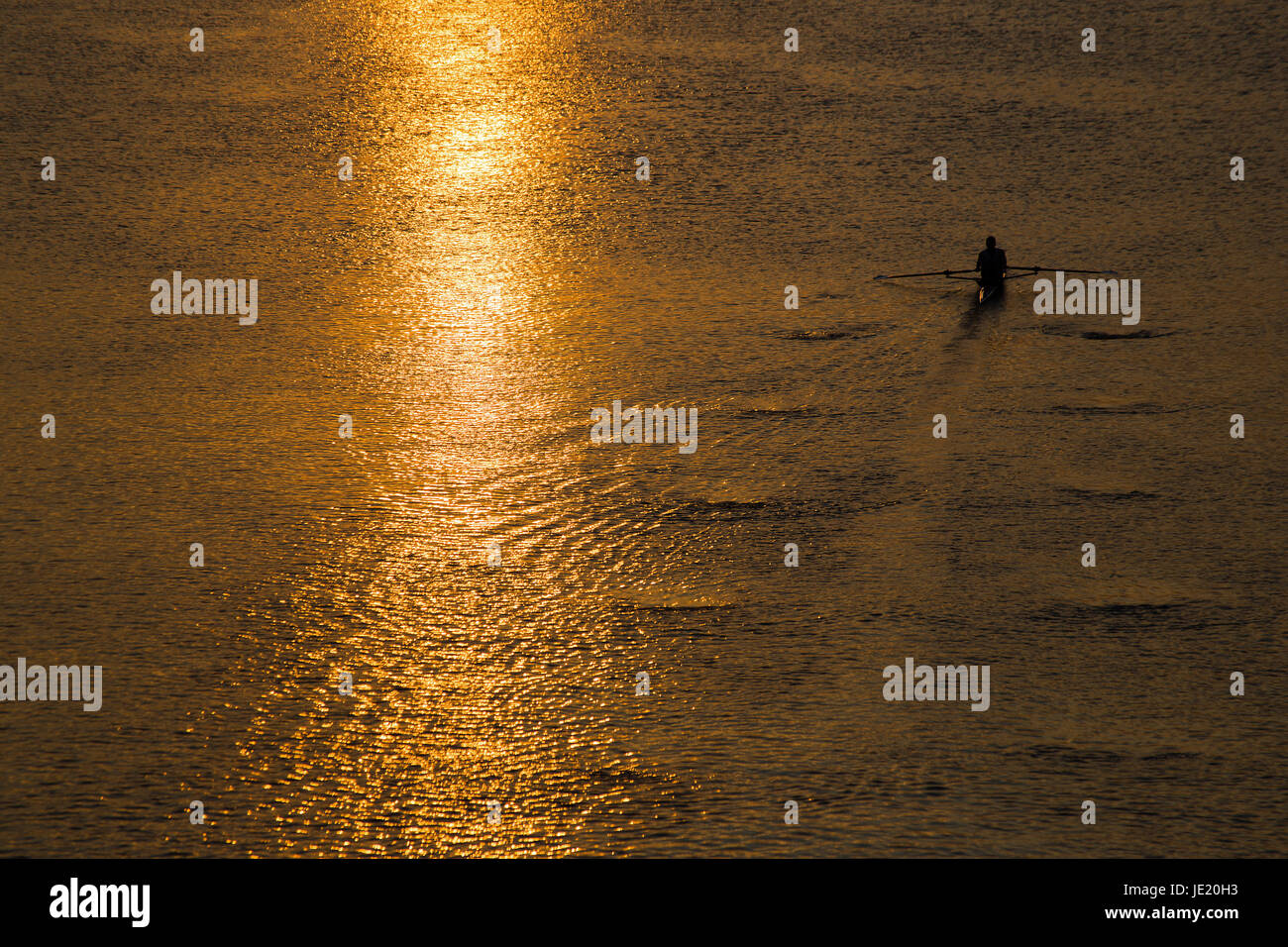 towards the sun Stock Photo Alamy