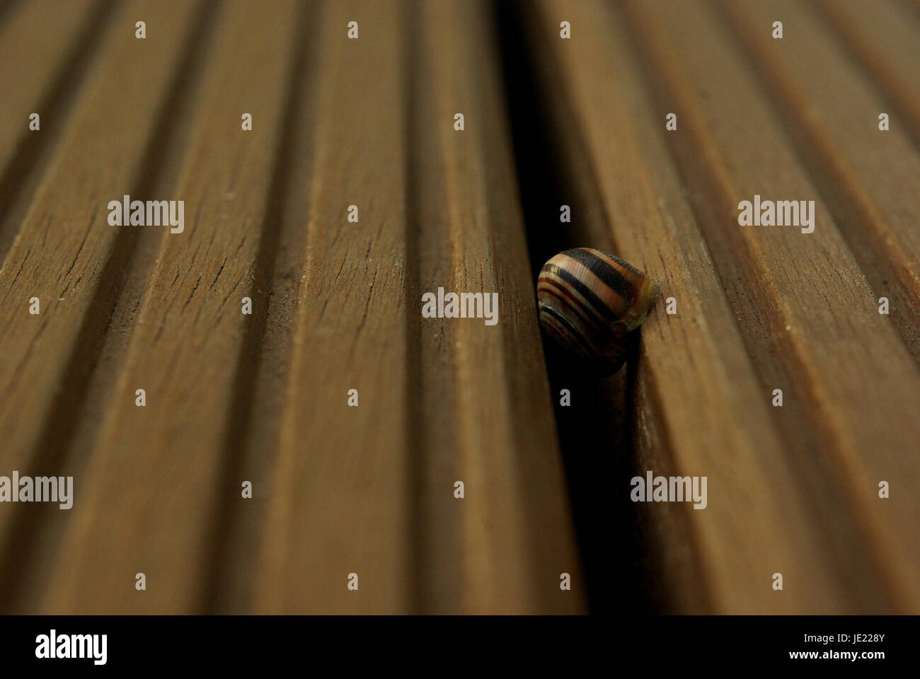 decking Stock Photo