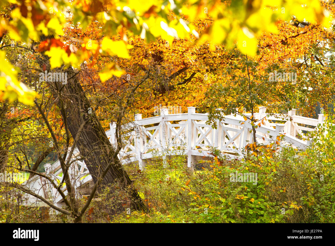 sunny autumn day in the park Stock Photo - Alamy