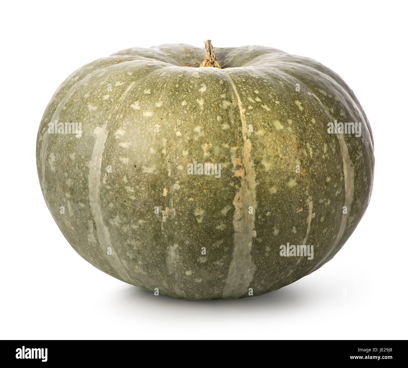 Green pumpkin isolated on a white background Stock Photo - Alamy