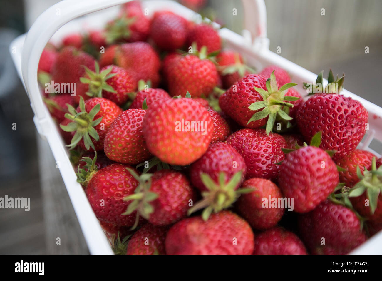 Fresh Canadian strawberries pictured in Kingston, Ont., on June 20