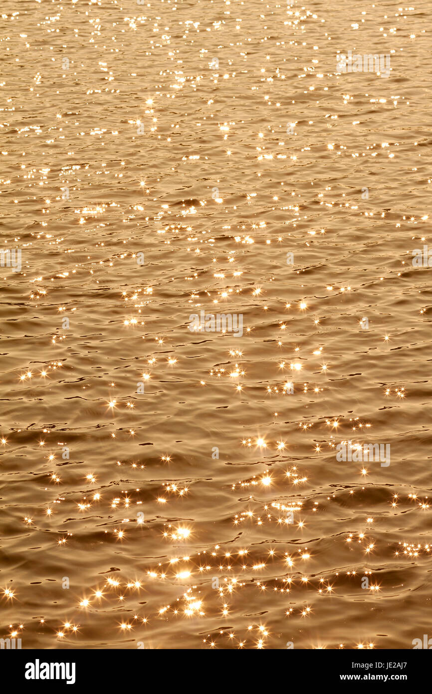 ray salt water Stock Photo Alamy