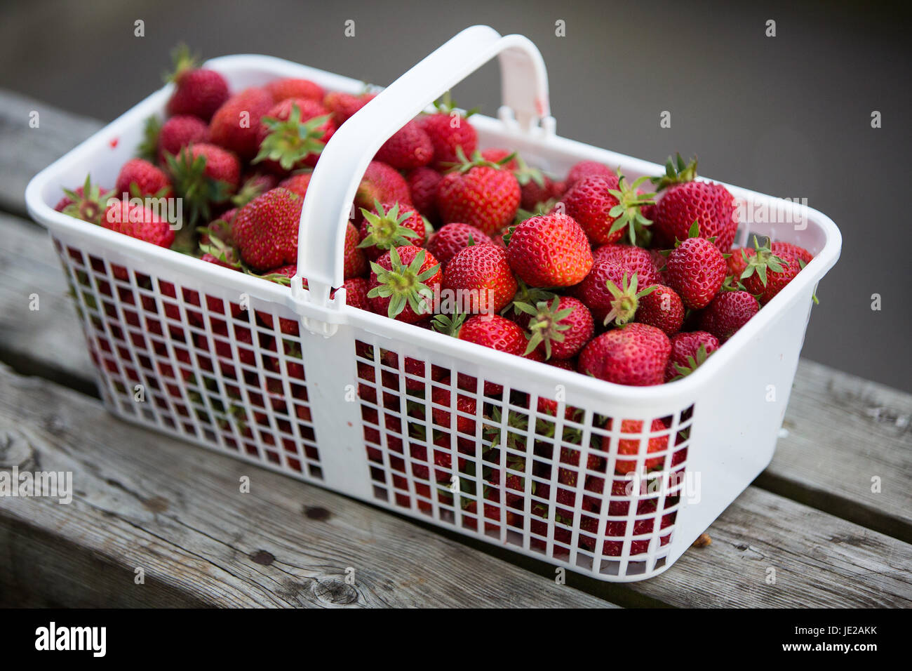 Fresh Canadian strawberries pictured in Kingston, Ont., on June 20