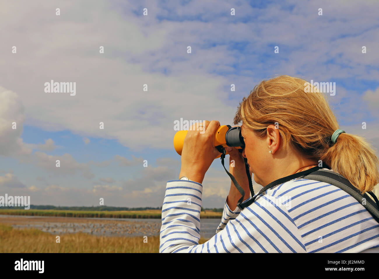 birdwatching beside a lake Stock Photo