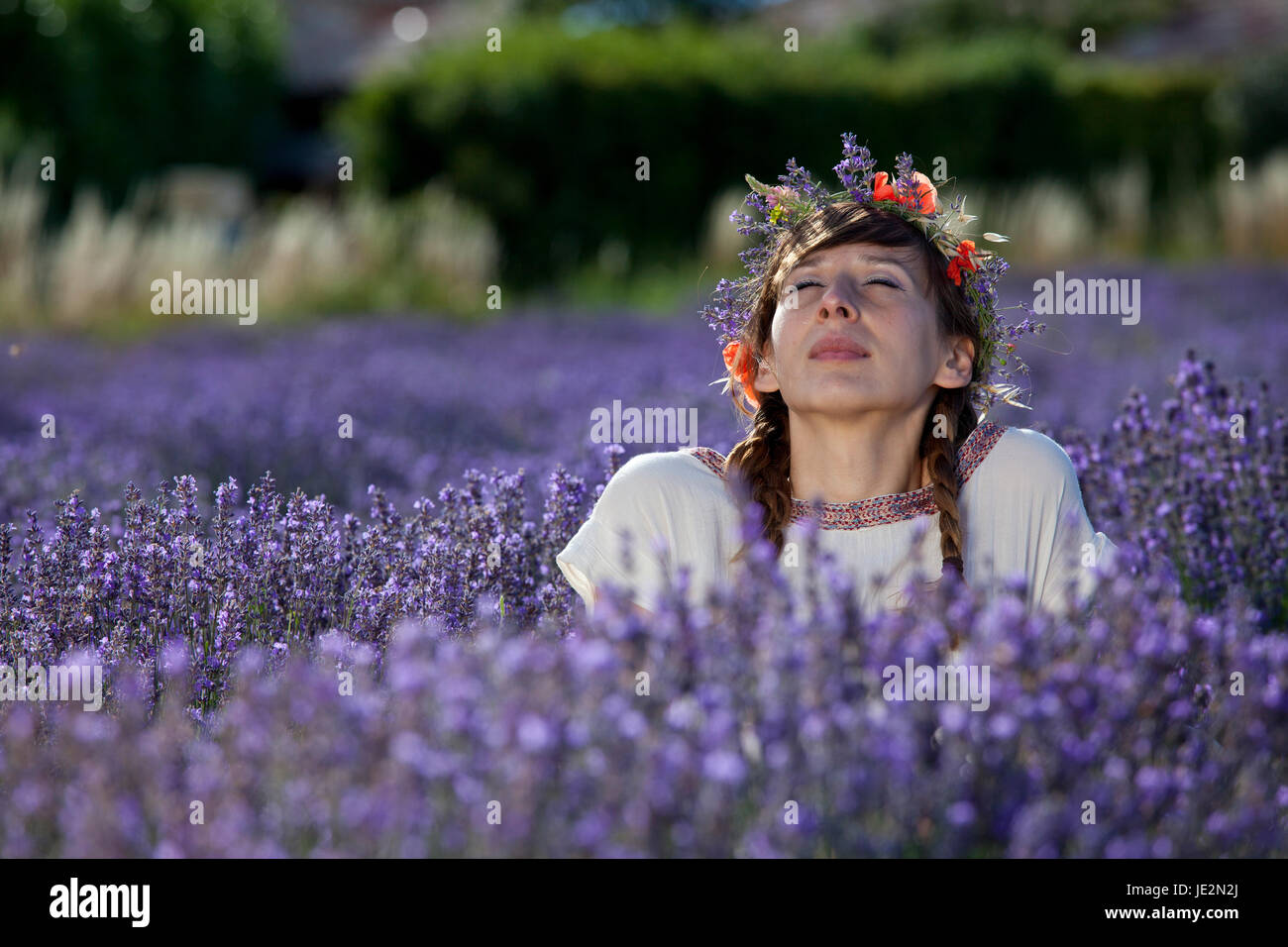 woman with closed eyes sitting and relaxing in a lavender field Stock ...