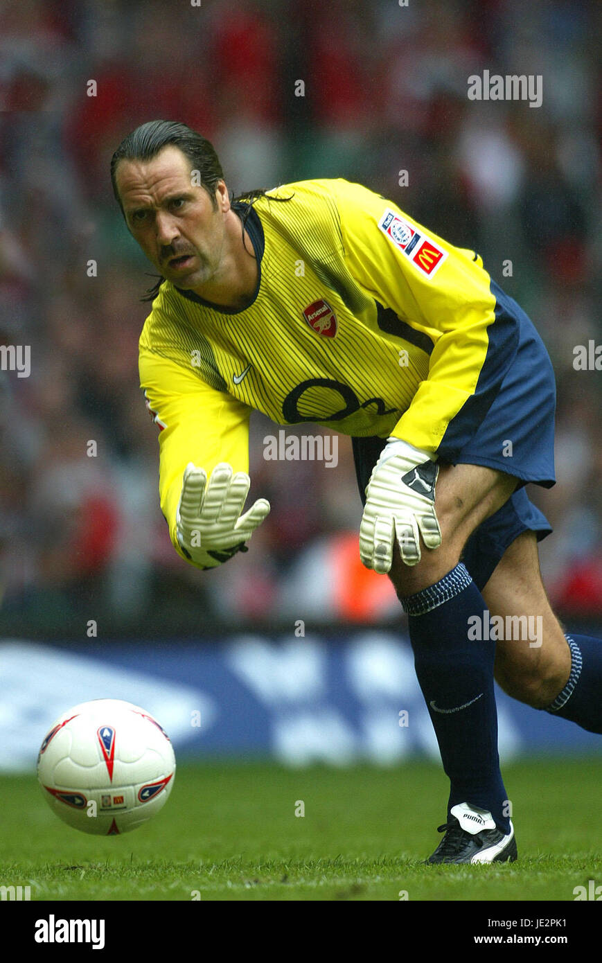 DAVID SEAMAN ARSENAL FC 09 Août 1991 Photo Stock - Alamy