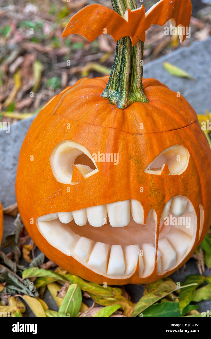 Halloween pumpkin on leaves background Stock Photo - Alamy