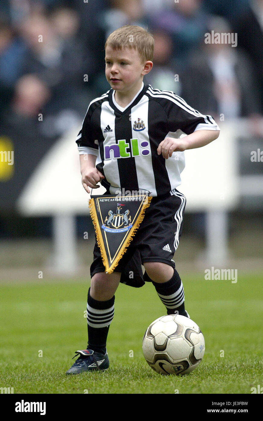 Newcastle united mascot hires stock photography and images Alamy