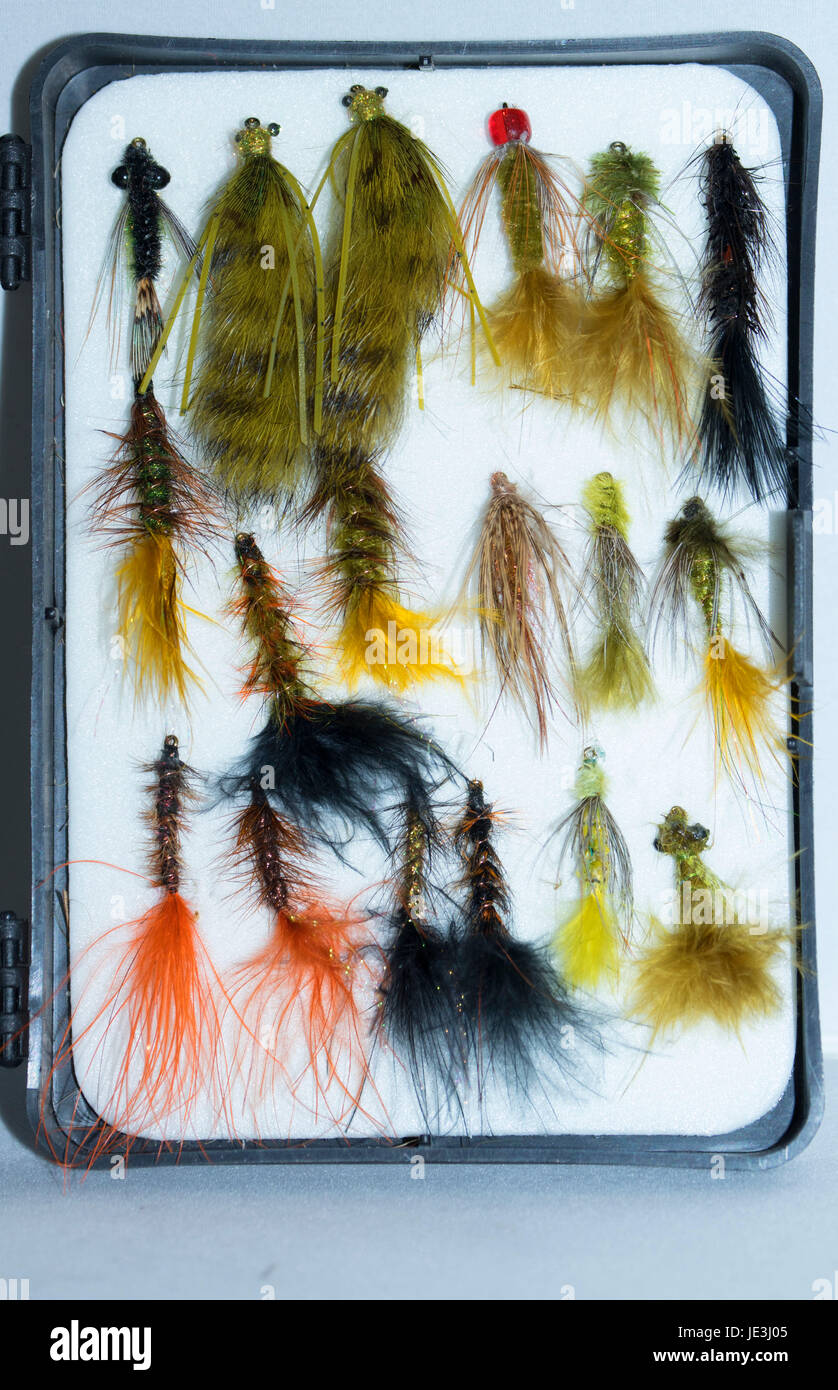 Fishing fly box Stock Photo