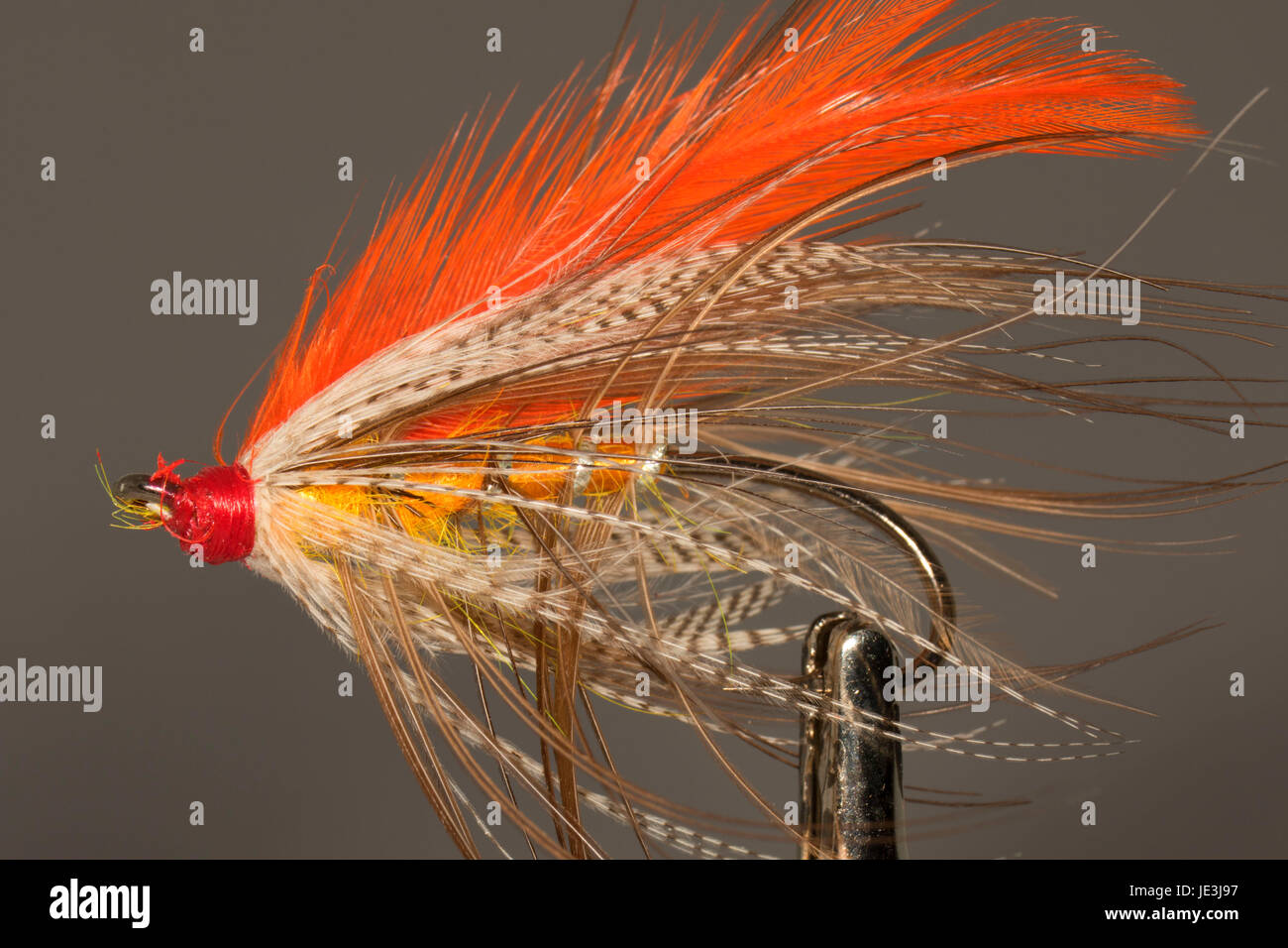 Steelhead streamer fishing fly Stock Photo Alamy