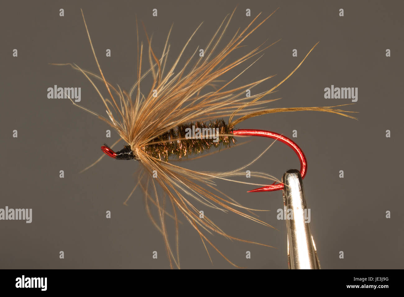 Steelhead streamer fishing fly Stock Photo