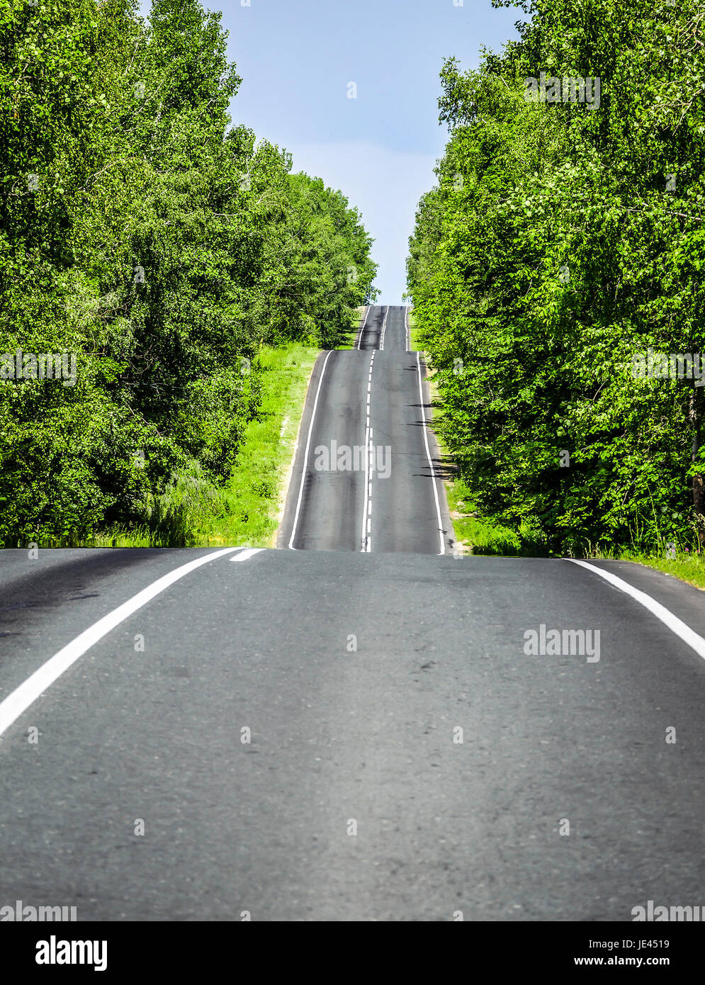 The road through the woods, disappearing into the distance Stock Photo ...