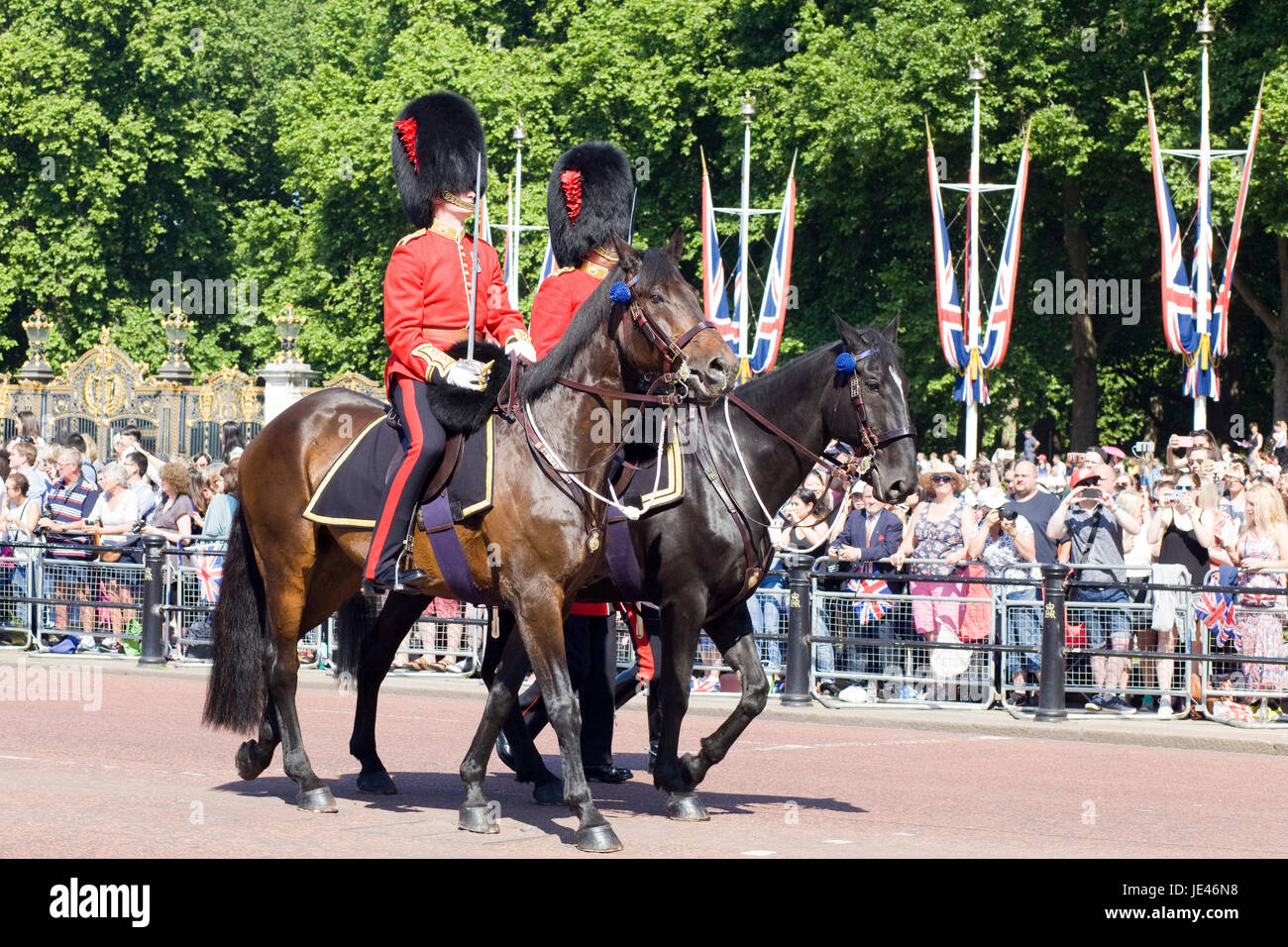 Mounted Officers of the Coldstream Guards, Trooping the Colour Stock