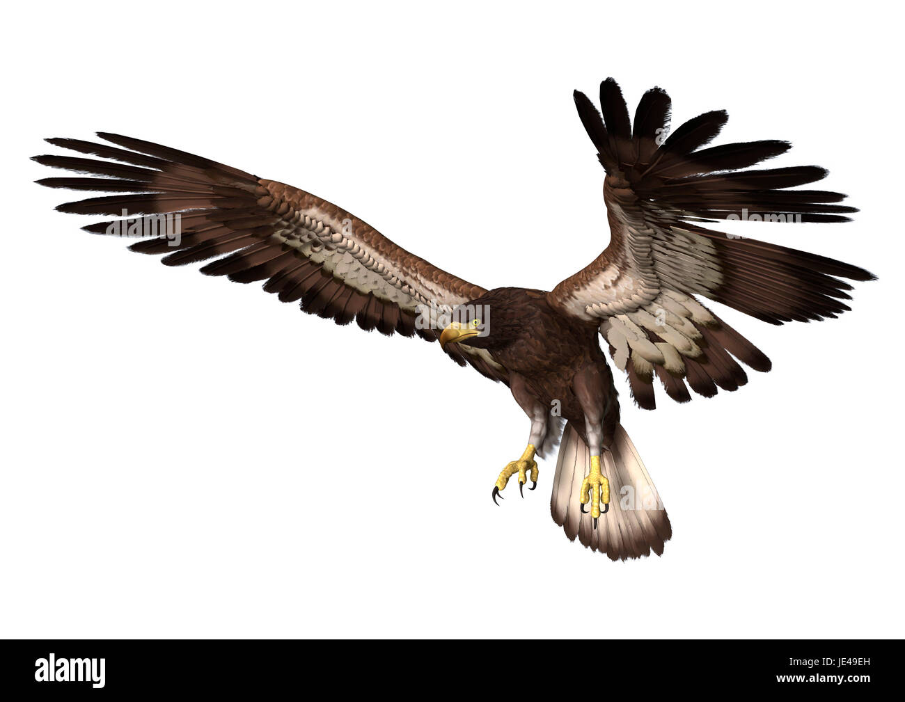 3D digital render of a landing bald eagle isolated on white background ...