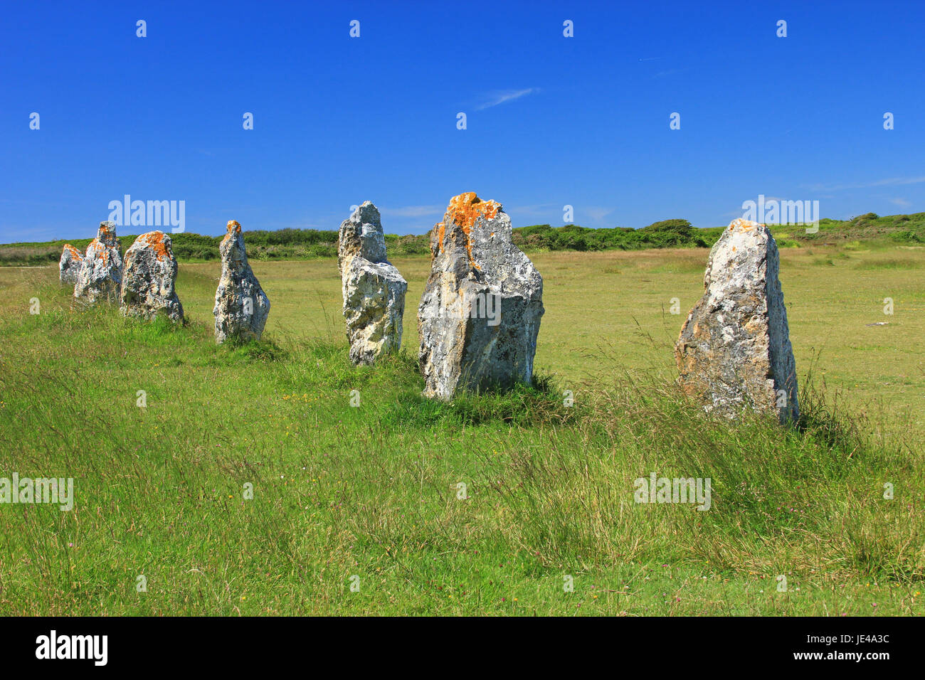 Alignements de Lagatjar, Steinzeitliche Steinreihen im Département Finistère, Bretagne, Frankreich Stock Photo
