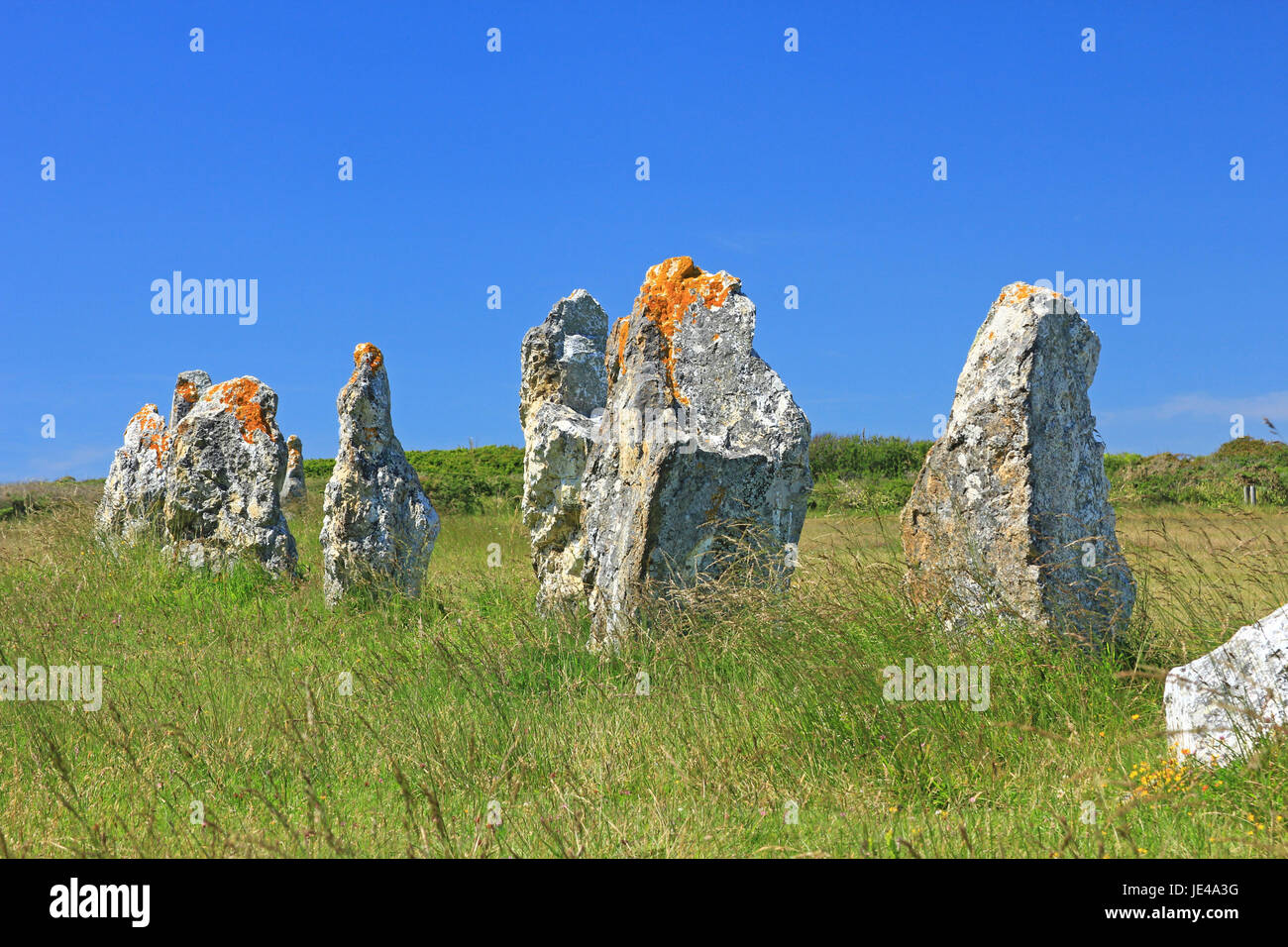 Alignements de Lagatjar, Steinzeitliche Steinreihen im Département Finistère, Bretagne, Frankreich Stock Photo