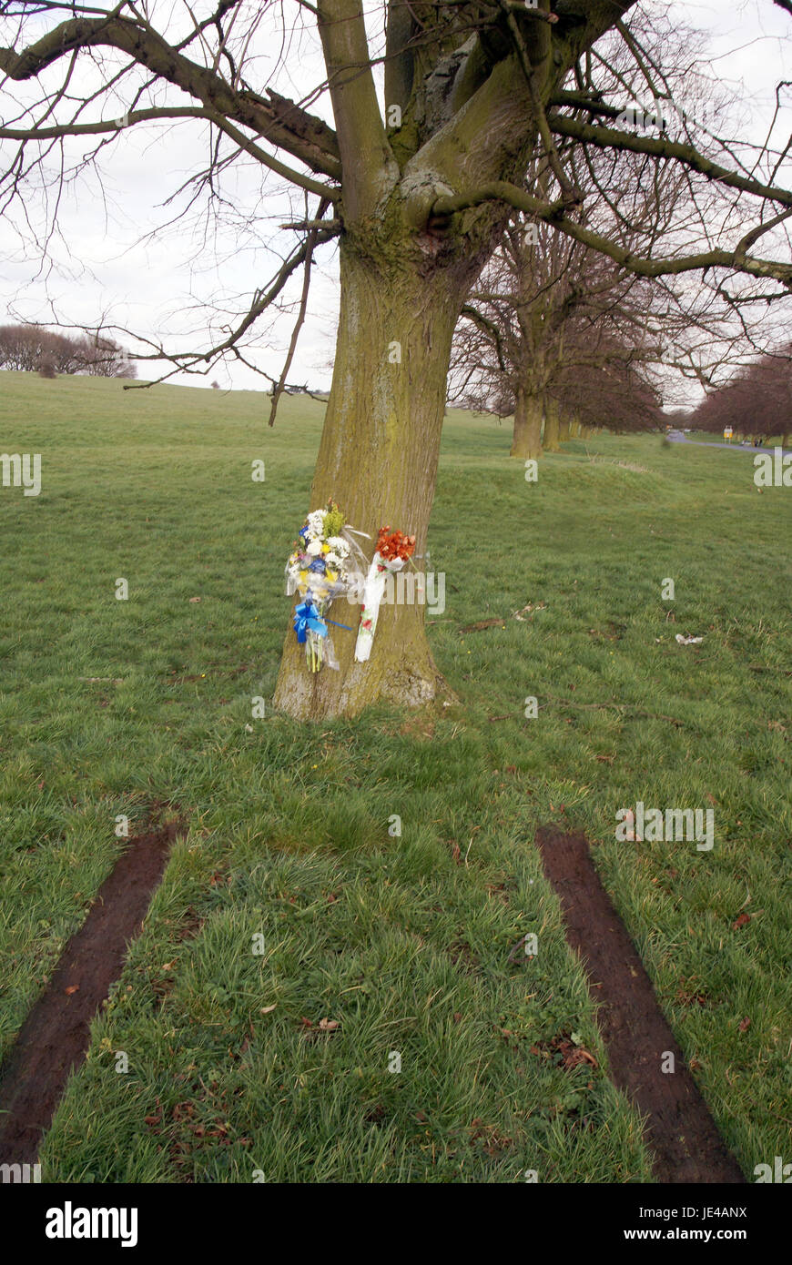 road accident black spot, car crash incident Stock Photo Alamy