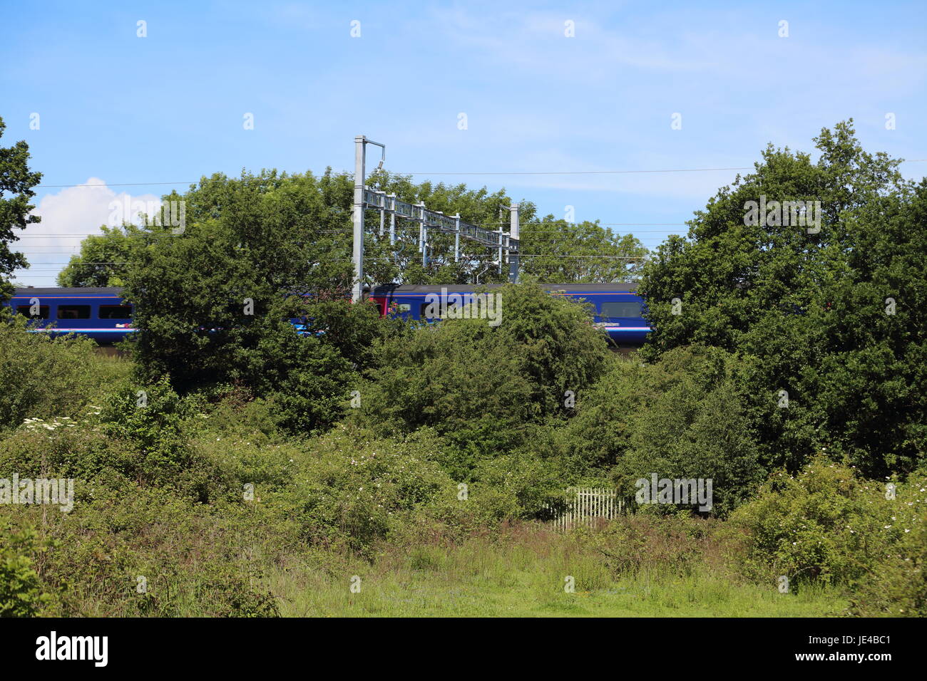 A High sped train flashes through a gap in the greenery along an embankment under all the newly installed Overhead line equipment in  rural location. Stock Photo