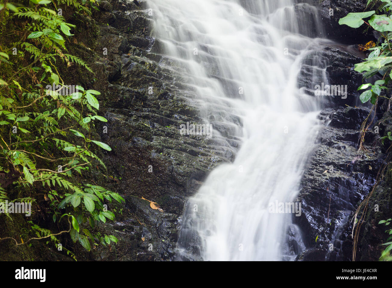 Small waterfall in monteverde cloud forest reserve Costa Rica Stock Photo