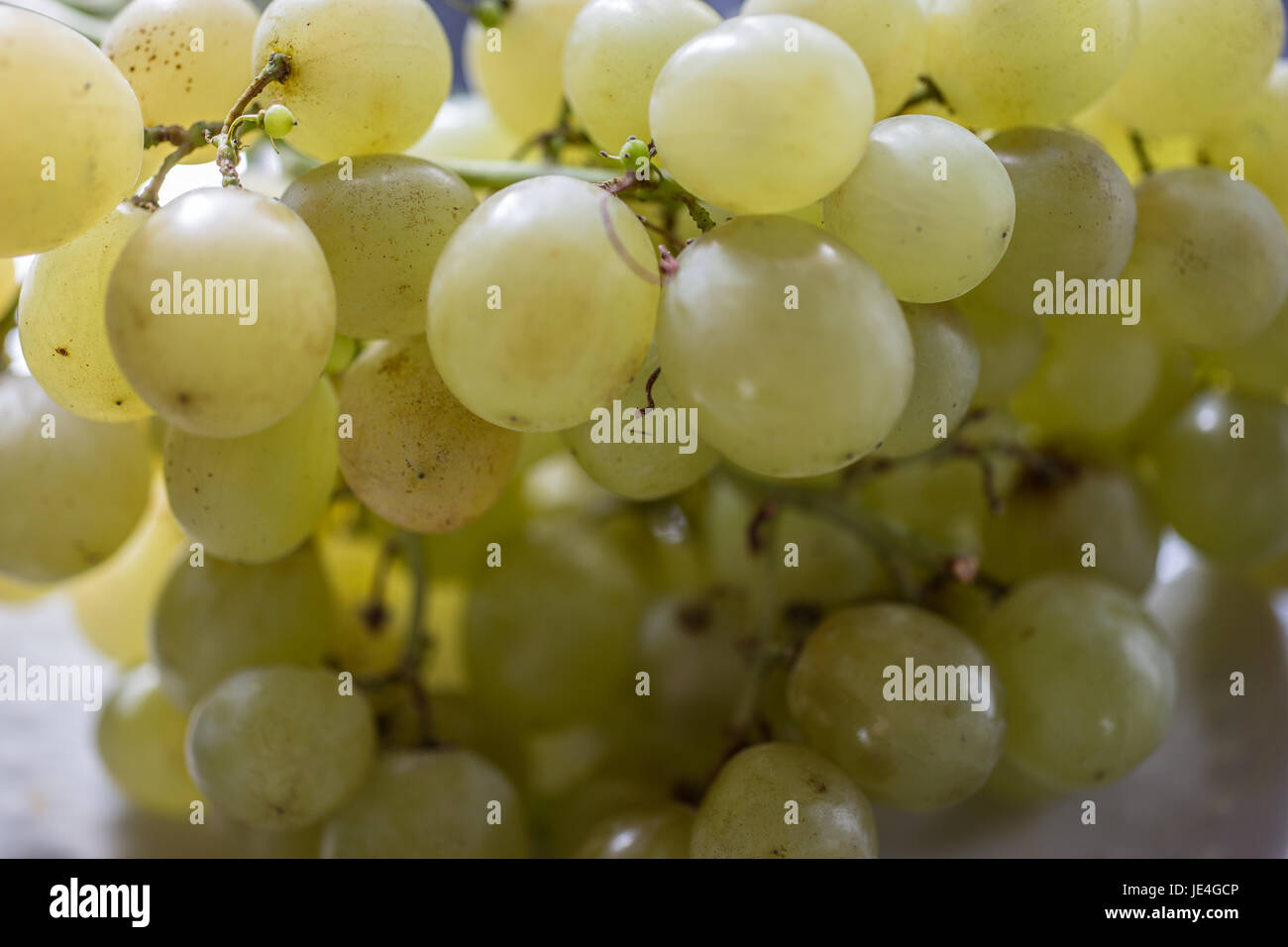 Trauben am Stiel Stock Photo - Alamy