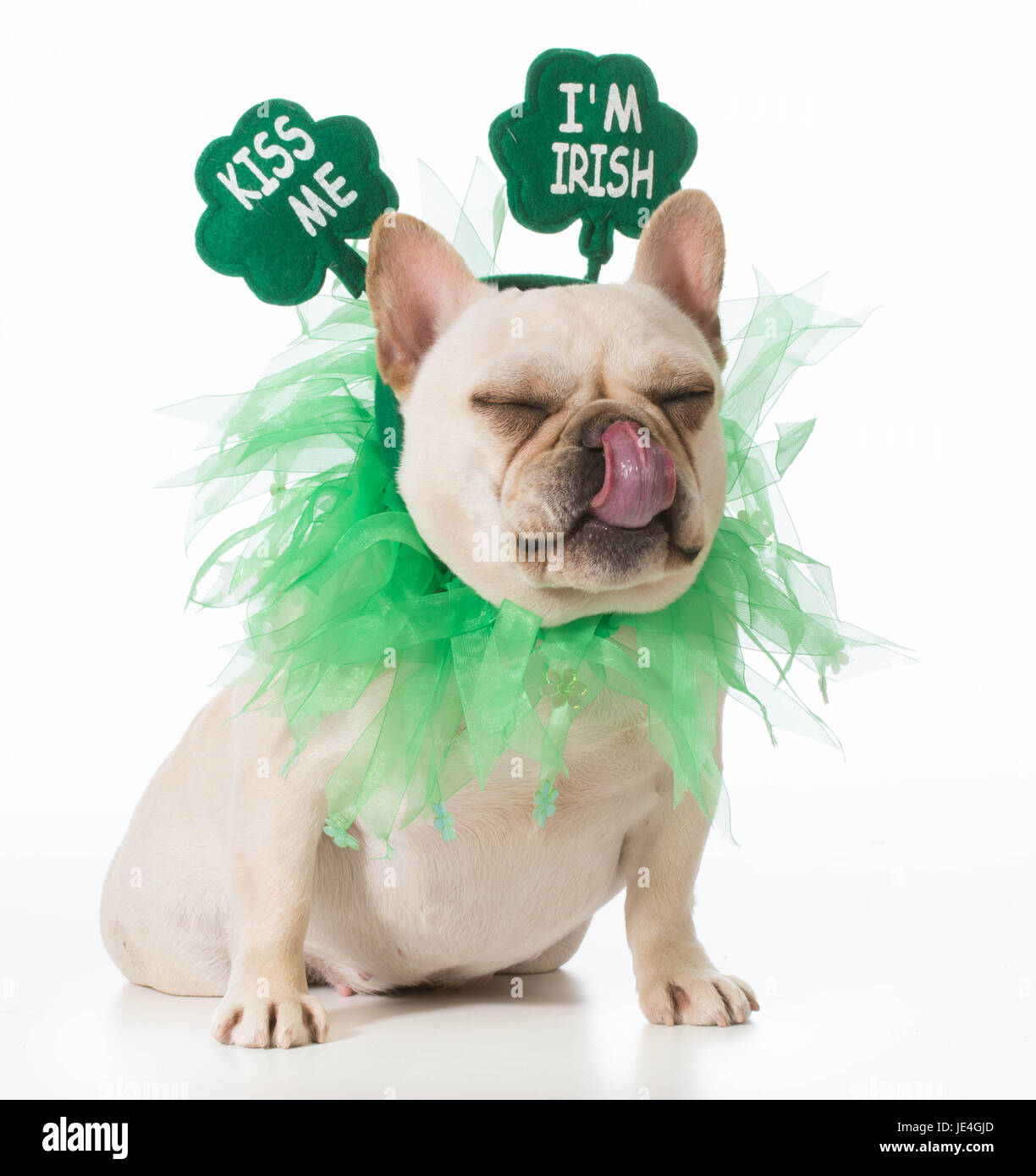 what is st patricks day in french