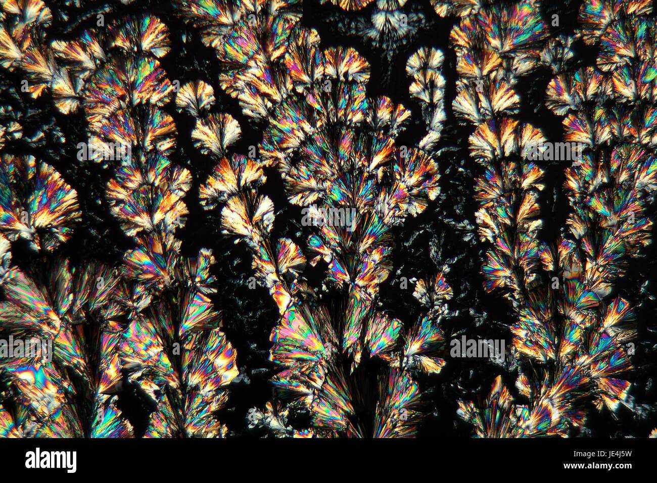 Microscopic crystals vitamin c hires stock photography and images Alamy