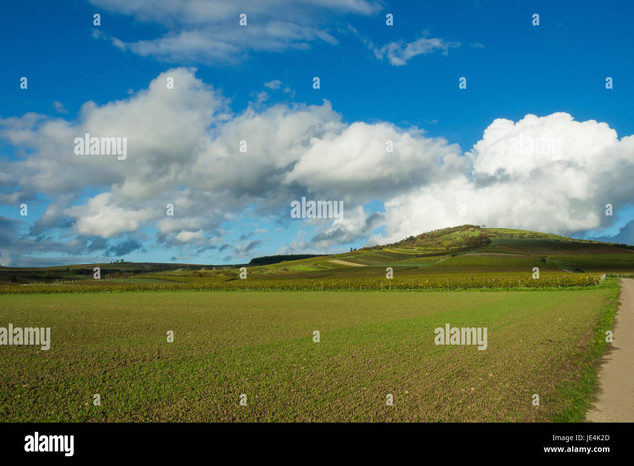 wine region rheinhessen Stock Photo Alamy