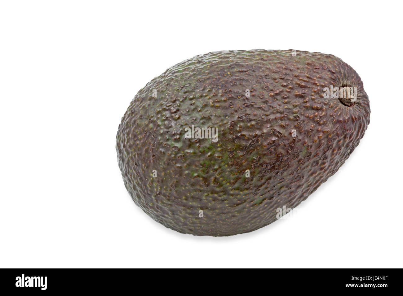 Eine reife Avocado auf weißem Hintergrund Stock Photo