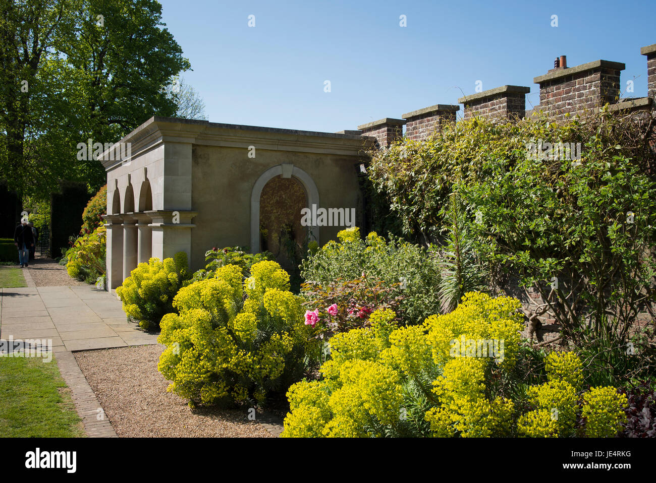 Part of the Queen Mothers garden at Walmer Castle Deal Kent showing herbaceous planting with flowering euphorbia Stock Photo