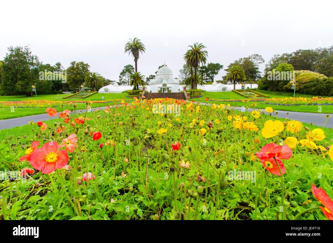 The garden of the Conservatory of flowers in San Francisco, California, United States of America. A greenhouse, botanical garden and historic landmark of traditional wooden Victorian architecture in Golden Gate park. Stock Photo